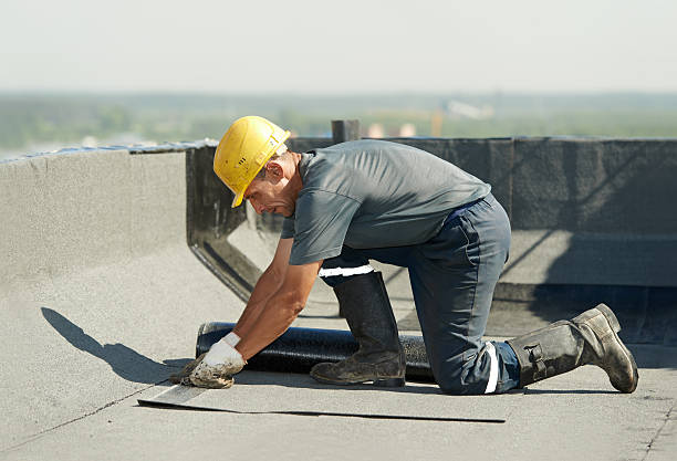 Best Geographic-Specific Insulation Services in Wadsworth, OH